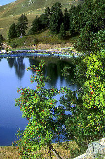lac des Vallons