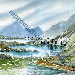 Lacs Robert et la brume bleue